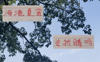 無奧斯卡，海港跌至四名，昔日霸主失色。