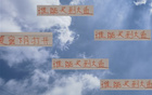大魚浮頭，夏窗中超購人潮，申花南多，前海港奇塔。