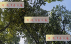 海港青春風(fēng)暴，李新翔領(lǐng)銜，大連賽進(jìn)球助攻顯身手！