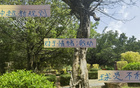 中超新規(guī)不利申花特謝拉，需調(diào)整隊(duì)長或增吳曦盯人。