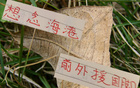 中超三強(qiáng)，海港缺國腳外援，奧斯卡思念球迷。