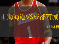 上海海港VS成都蓉城