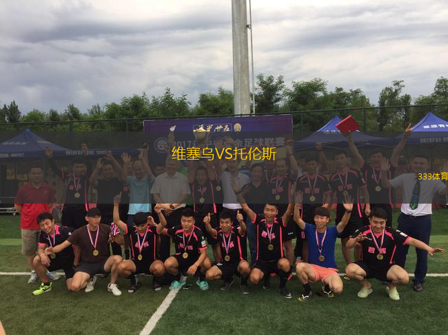 維塞烏VS托倫斯