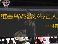 維塞烏VS波爾蒂芒人
