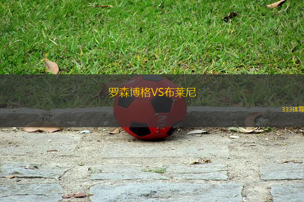 羅森博格VS布萊尼