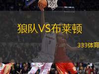 狼隊(duì)VS布萊頓