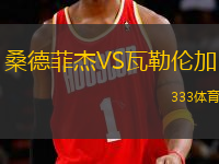 桑德菲杰VS瓦勒倫加