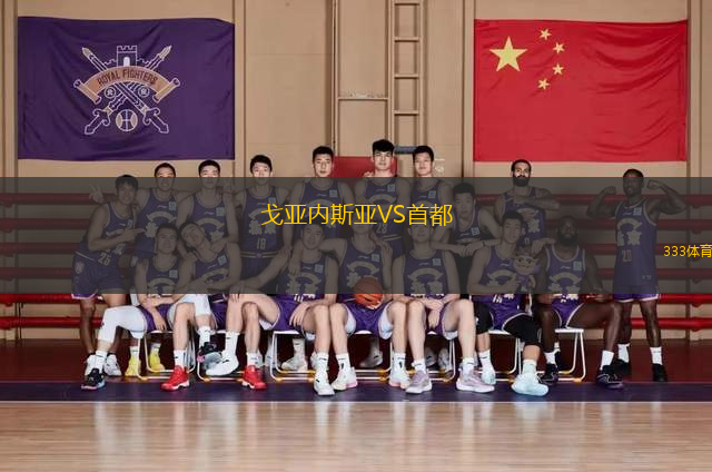 戈亞內(nèi)斯亞VS首都