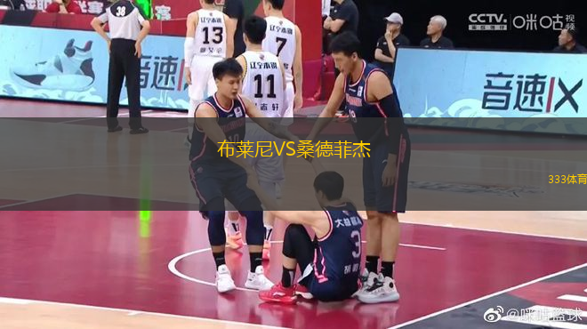 布萊尼VS桑德菲杰