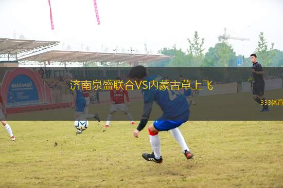 濟(jì)南泉盛聯(lián)合VS內(nèi)蒙古草上飛