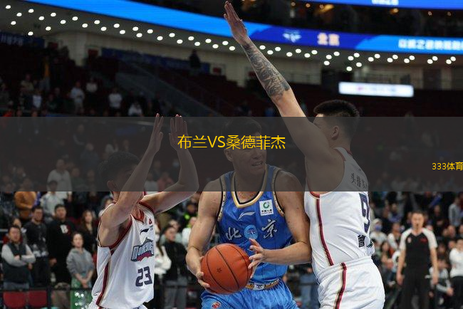 布蘭VS桑德菲杰